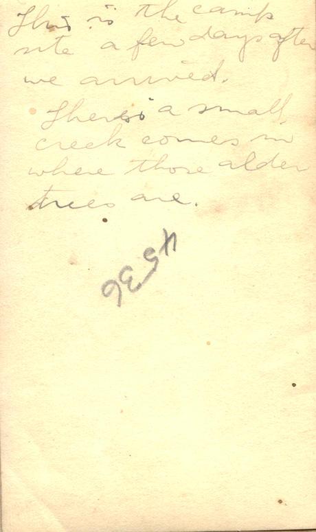 nd 3 back. 
This is the campsite a few days after we arrived. There's a small creek comes in where those alder trees are.